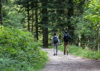 Senderismo en el Bajo Rin - Bonjour Alsace