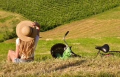 Paseo por los viñedos - Bonjour Alsace