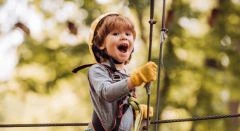 Aventura de escalada en árboles en Estrasburgo - Bonjour Alsace