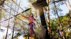 Aventura de escalada en árboles en Mulhouse - Bonjour Alsace
