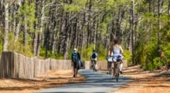 Actividad al aire libre - Bonjour Alsace