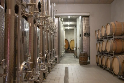 Alsace Wine Experience: Guided Tasting & Cellar Tour - Bonjour Alsace