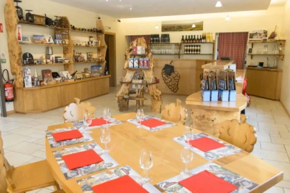 Alsace Wine Experience: Guided Tasting & Cellar Tour - Bonjour Alsace