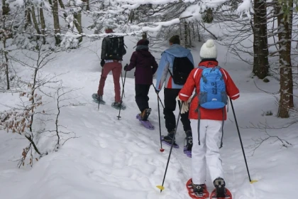 Balade en raquettes et repas en auberge - app.name