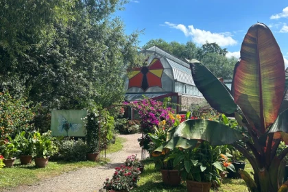 Entrada sin colas - Jardín de mariposas - Bonjour Alsace
