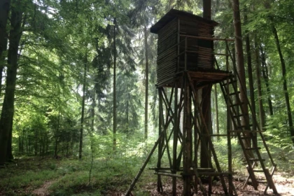 BÚSQUEDA DEL TESORO DIGITAL A PIE O EN BICICLETA - Bonjour Alsace