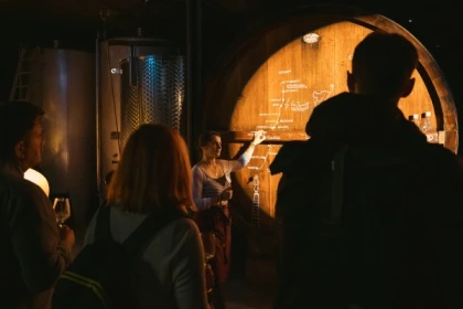 Dégustation de 5 vins et visite de cave Immersive - app.name