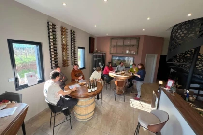 Tasting of Alsace's must-try organic wines - Bonjour Alsace