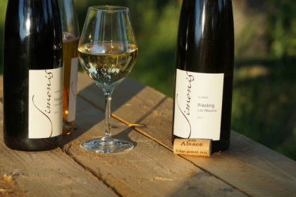 Entre cépages et pétales : la vigne et sa flore - app.name