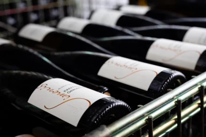 Initiation à l'art de la dégustation à Ammerschwihr - app.name