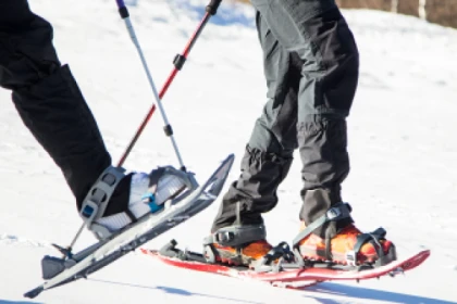 Journée en raquettes à neige au Feldberg - app.name