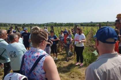 Osez le vin au féminin & Pique-nique au domaine (en anglais) - app.name