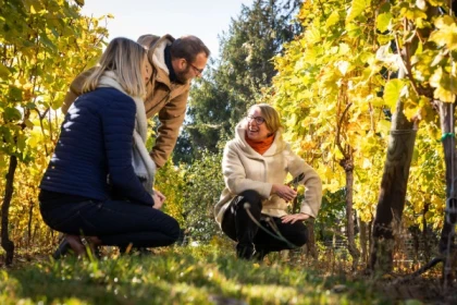 Parenthèse Vigneronne "Quesos y Grands Crus" - degustación - Bonjour Alsace