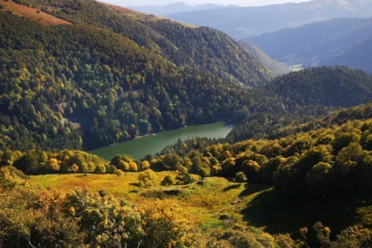 Randonnée à la découverte des animaux - app.name