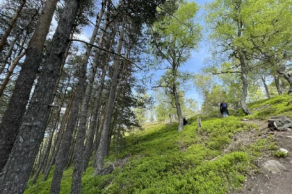 Randonnées guidées du champ de bataille du Linge - app.name