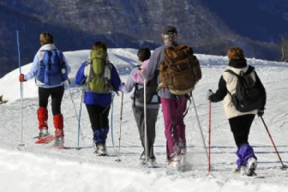 Raquettes à neige privative au Feldberg - app.name