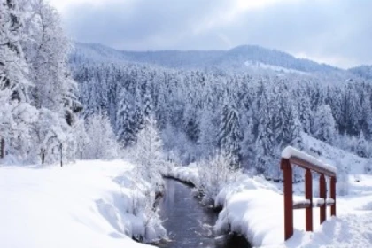 Raquettes privative au Grand Ventron - app.name