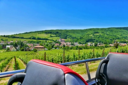 Tour Privé "Coeur d'Alsace" depuis Strasbourg - app.name