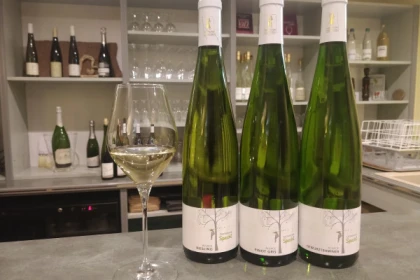 Visita tradicional y cata de vinos - 5 variedades de uva - Bonjour Alsace