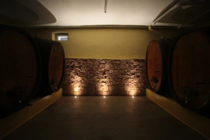 Visite de cave & dégustation - Formule Pétillante - app.name