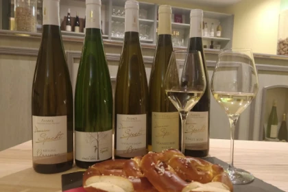 Visita tradicional y cata de vinos - 5 variedades de uva - Bonjour Alsace