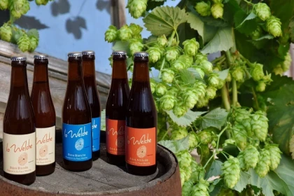 Visite Guidée Brasserie du Pays Welche - app.name