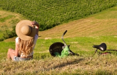 Paseo por los viñedos - Bonjour Alsace