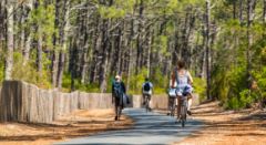 Actividad al aire libre - Bonjour Alsace