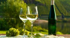 Degustación de vinos - Bonjour Alsace