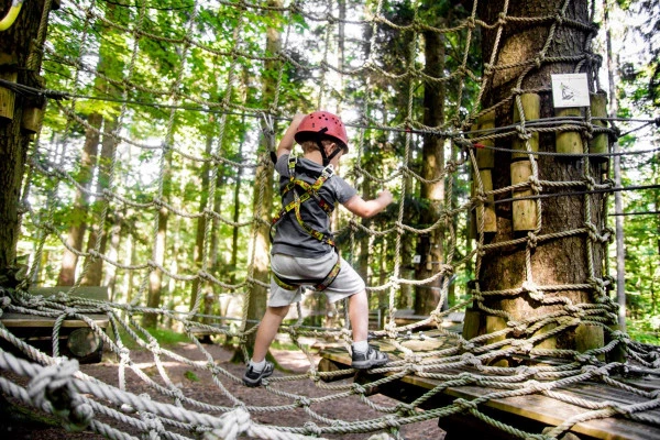 Arborismo y tirolinas - Parc Alsace Aventure - Bonjour Alsace