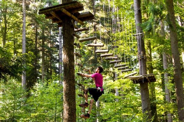 Arborismo y tirolinas - Parc Alsace Aventure - Bonjour Alsace