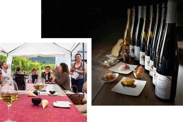 Aperitivo Gastronómico en el Viticultor Independiente - Vinos Locales y Viñas Viejas - Bonjour Alsace