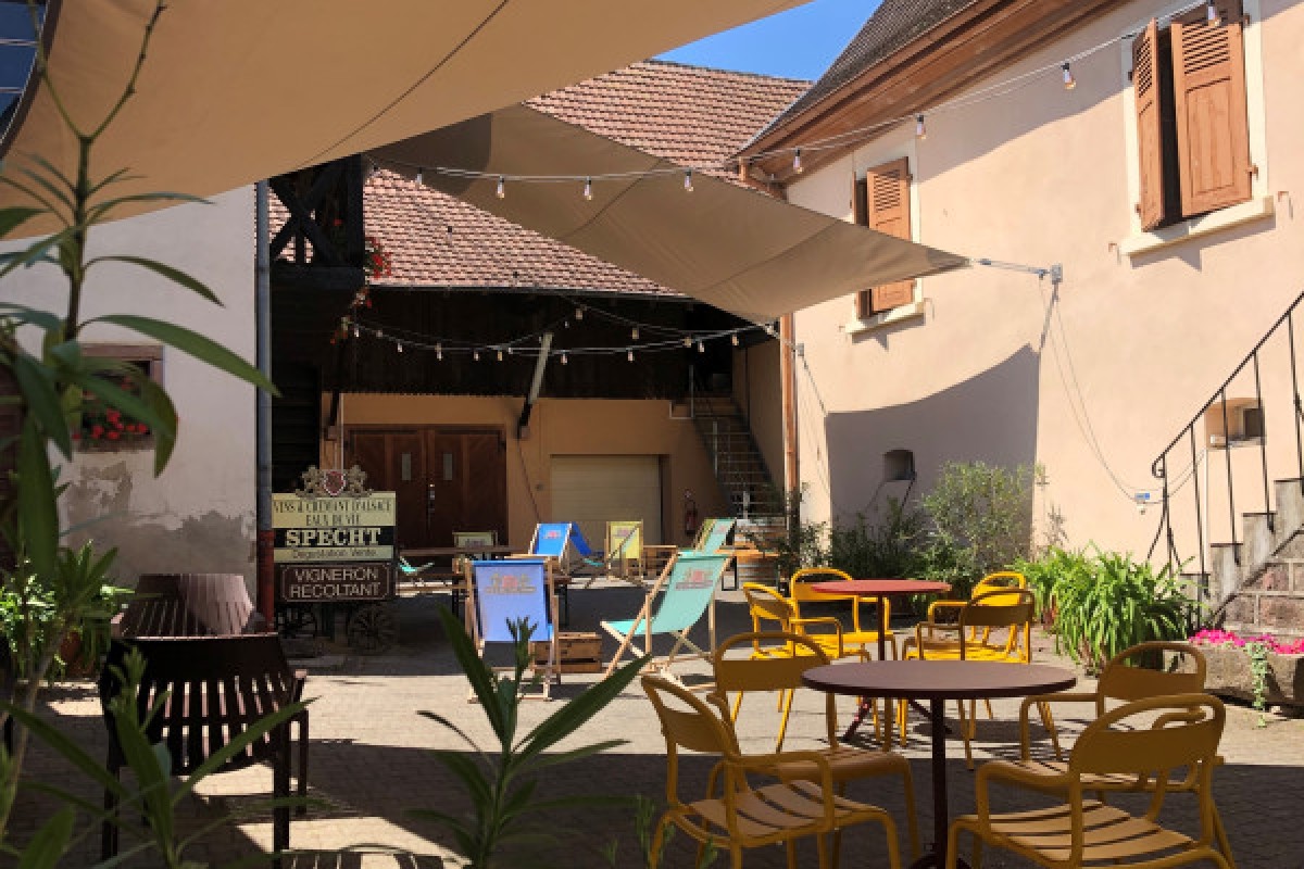 Aperitivo gastronómico en el Viticultor Independiente - Bonjour Alsace