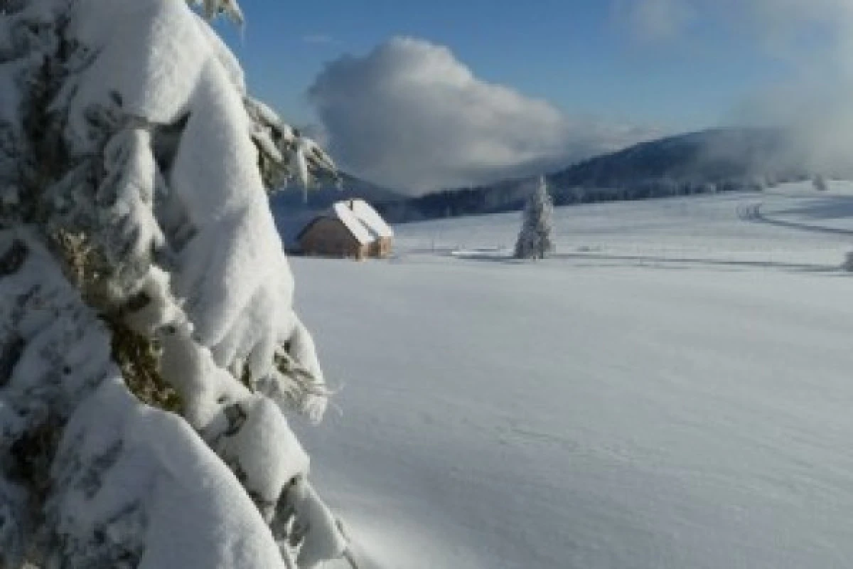 Ruta con raquetas de nieve en el Col de la Schlucht 2024 - Bonjour Alsace