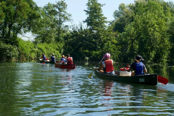 Canoa o Paddle 1/2 día - unas 2h30 - Bonjour Alsace