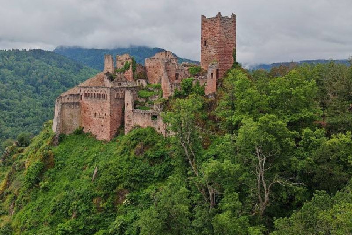 Navidad en Alsacia entre tradiciones y naturaleza 2 días - Bonjour Alsace