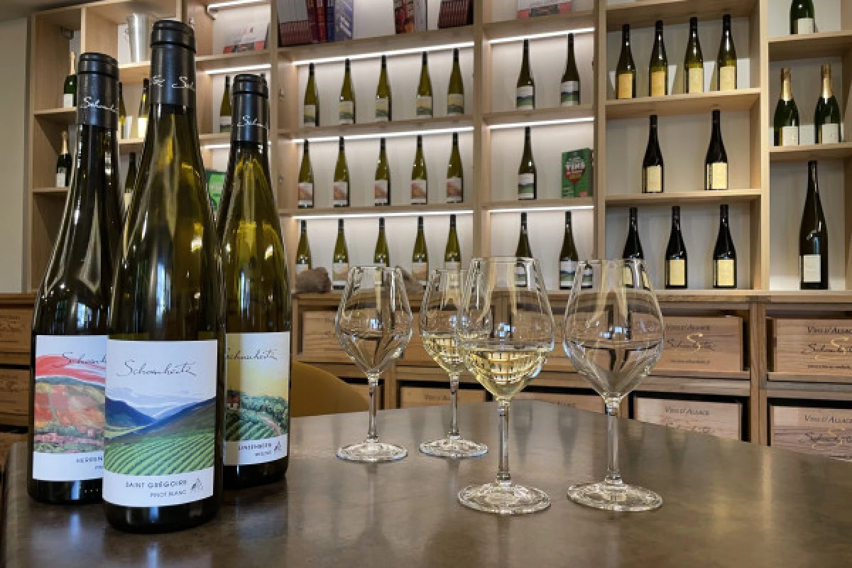 Descubrir los vinos de Alsacia - Bonjour Alsace