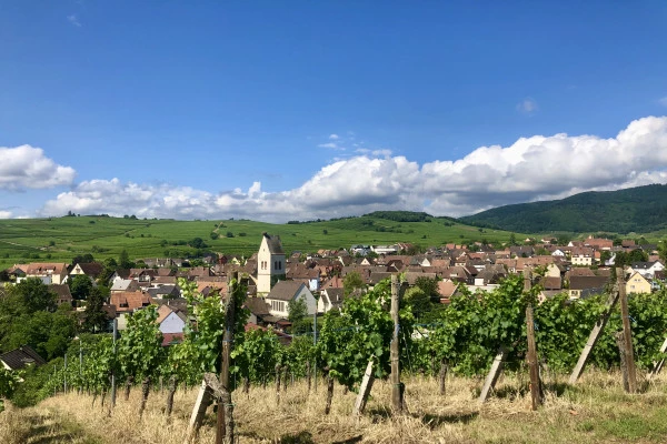 Descubrimiento vitícola: el alma de una propiedad vitícola. - Bonjour Alsace