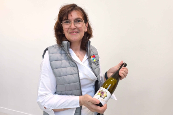 Tasting of Alsace's must-try organic wines - Bonjour Alsace