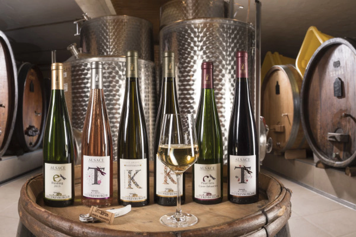 Meet our wines with an in-depth tasting. - Bonjour Alsace