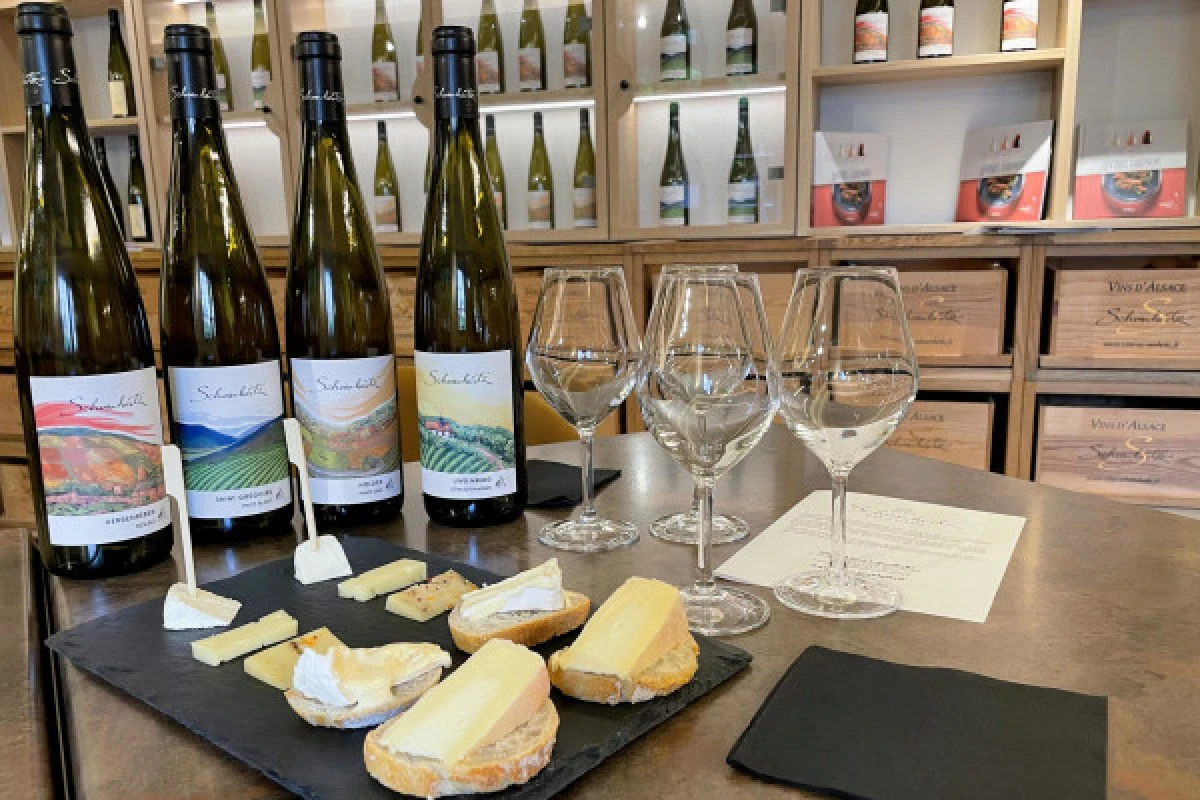 Degustación de vinos y quesos en el valle de Munster - Bonjour Alsace