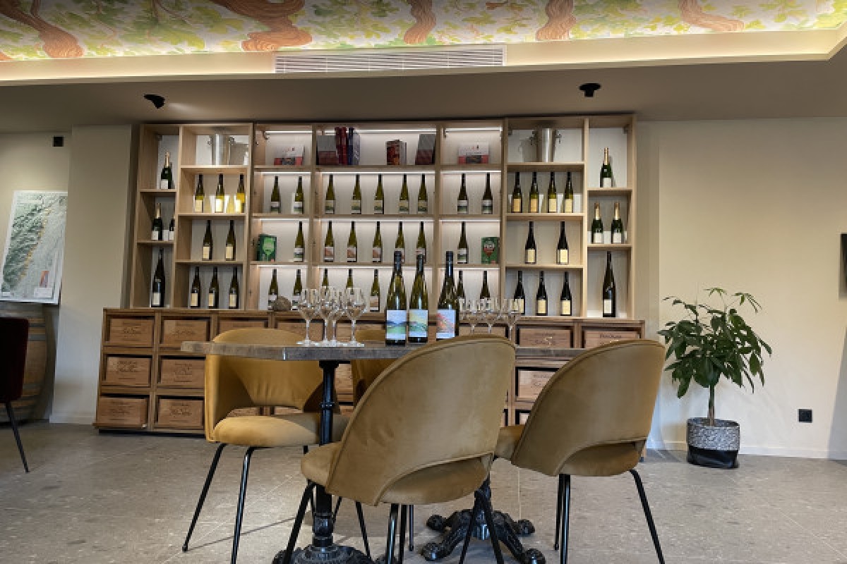Degustación de vinos y quesos en el valle de Munster - Bonjour Alsace