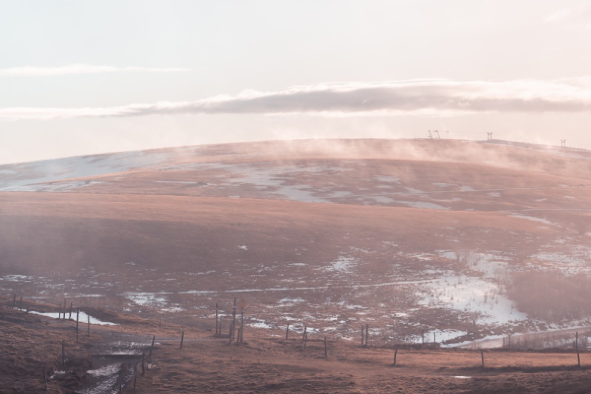 Paseo y degustación de rastrojos - Bonjour Alsace