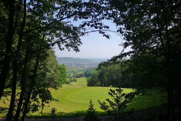 Iniciación al golf - Bonjour Alsace