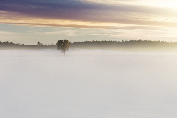 New Year's Day walk at Champ du Feu - Bonjour Alsace