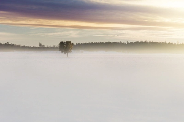New Year's Day walk at Champ du Feu - Bonjour Alsace