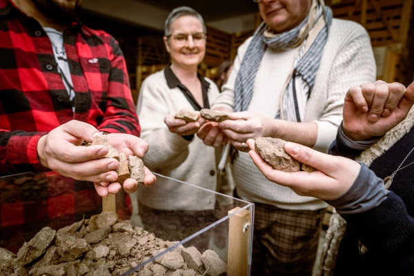 Parenthèse Vigneronne "juega y pon a prueba tus 5 sentidos" - cata - Bonjour Alsace