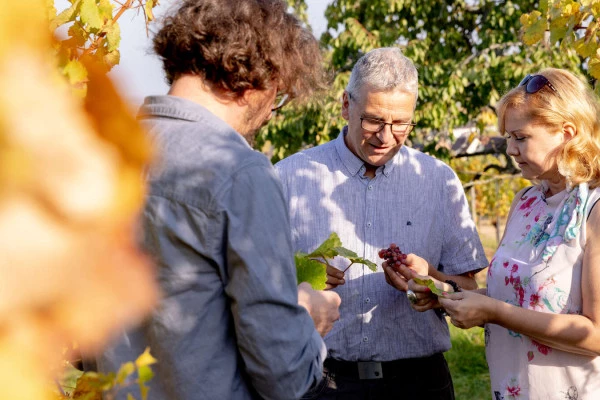 Parenthèse Vigneronne 'Kaefferkopff : historias para beber' - cata - Bonjour Alsace