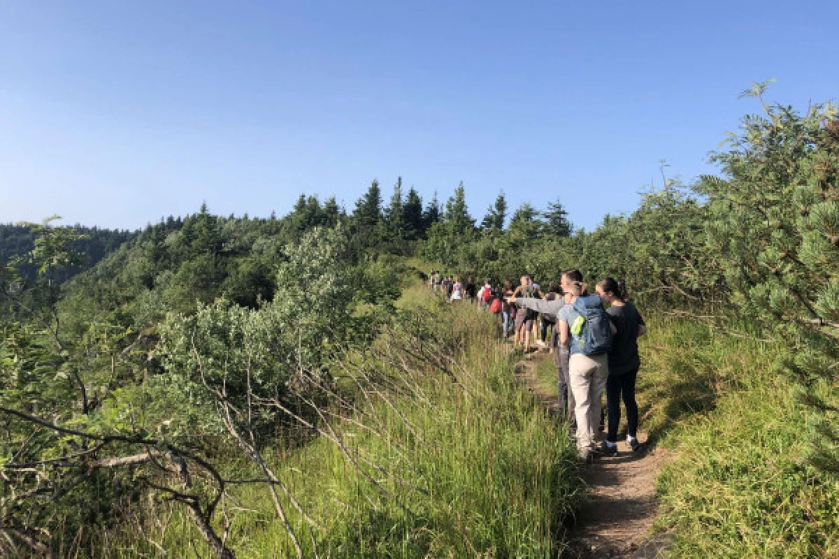 Excursión "Conoce la gamuza". - Bonjour Alsace