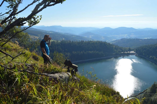 Excursión "Conoce la gamuza". - Bonjour Alsace